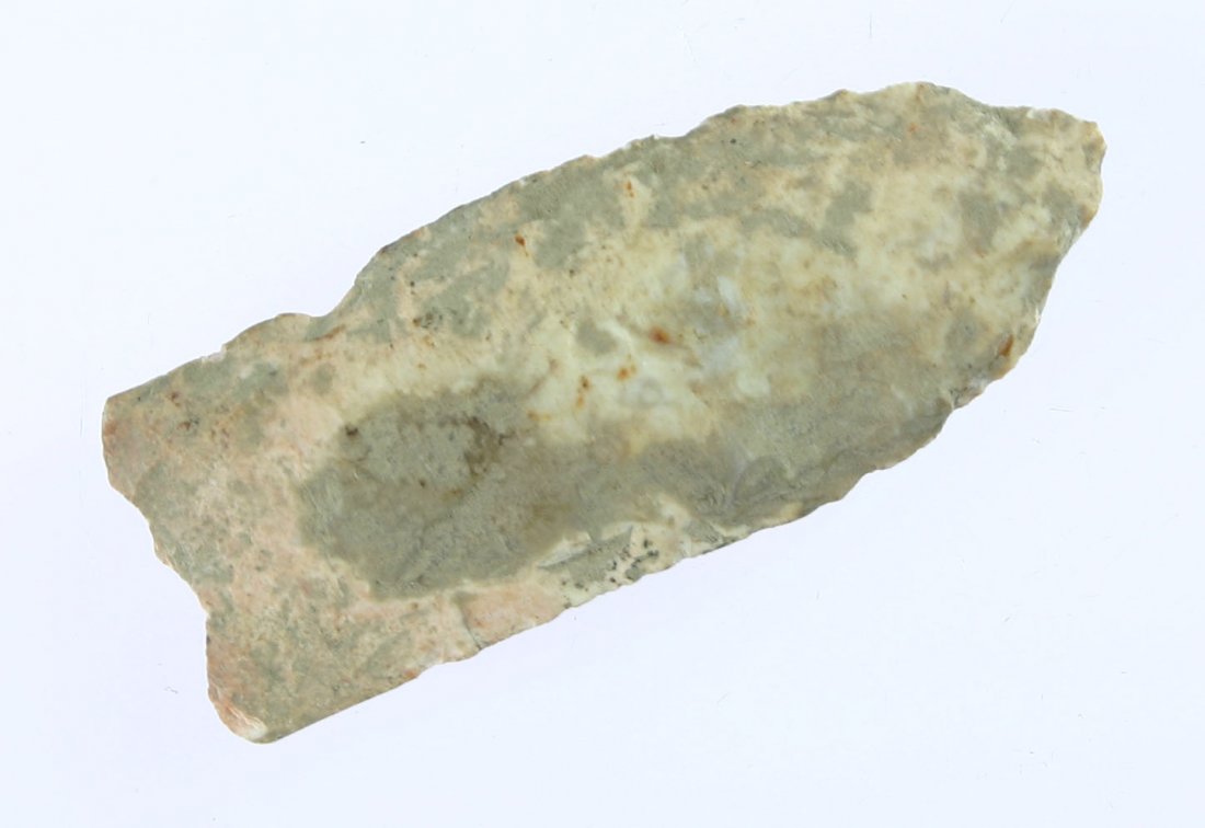 2 9/16" Unfluted Clovis: Mottled Cream chert with excellent mineralization.