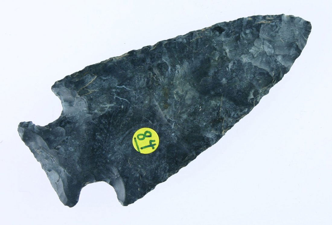 2 7/8" Motley: Beautiful blue/black Coshocton. Found in Huron Co., Ohio.