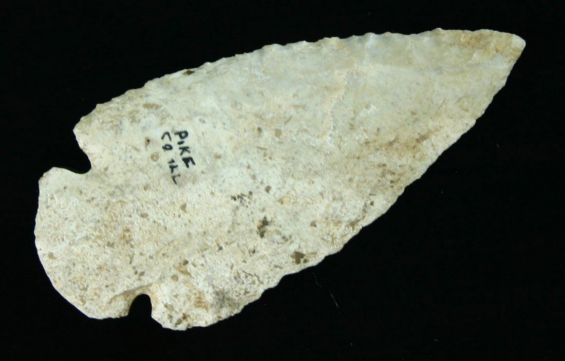 2 15/16" Dovetail - Jackson COA: Well mineralized white Burlington example from Pike Co., Illinois. Ex- Jack Litchfield Collection. Jackson COA.