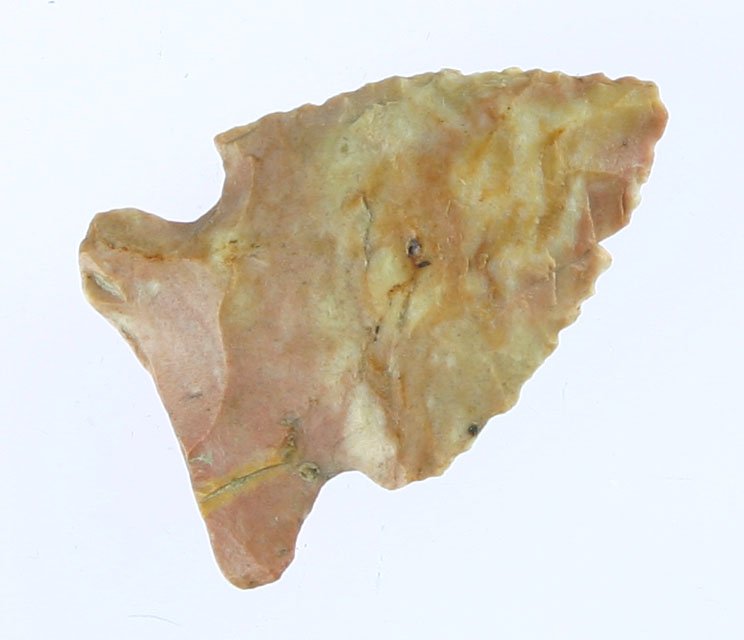 1 5/16" Big Sandy: Serrated example from Kentucky in a multicolor chert. Pretty!