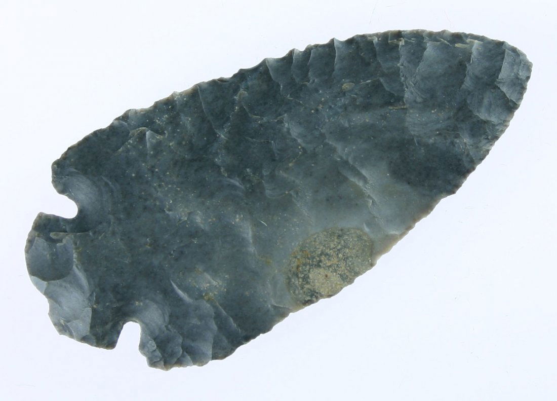 3 1/8" Dovetail - Partain COA: Pretty gray Hornstone with cream colored highlights. Partain says 'clipped wing variety' on his COA. Ex- Dennis Arbeiter.