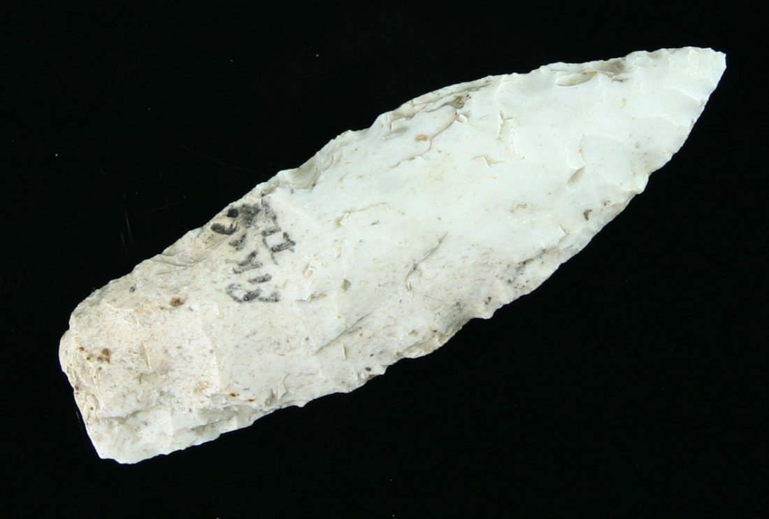 2 11/16" Sedalia: Pike Co., Illinois example in Burlington Chert. Nice mineralization. Ex - Gilbert Collection