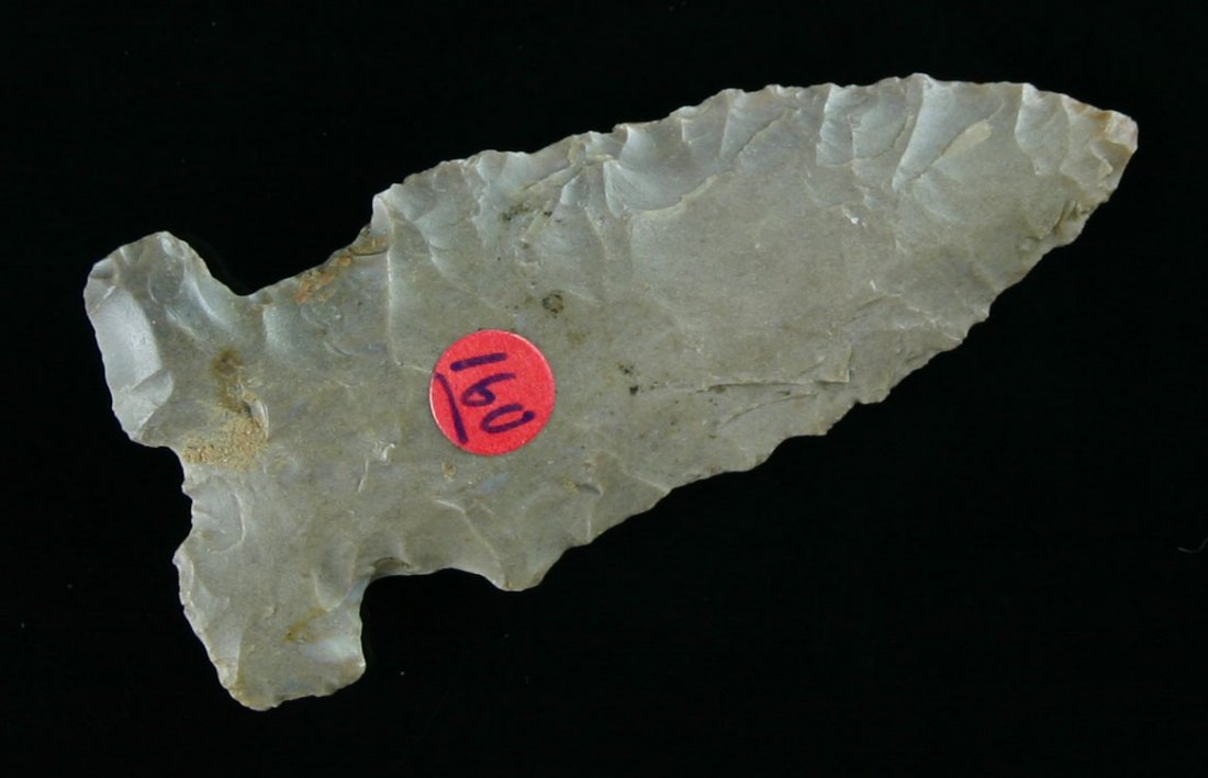 2 1/8" 'E-Notched' Big Sandy: Great example distinctly 'E"-notched with an indented base also. Glossy light gray Hornstone from Southern Kentucky. Ex- Keil and Ex- Doug Goodrum Collections.