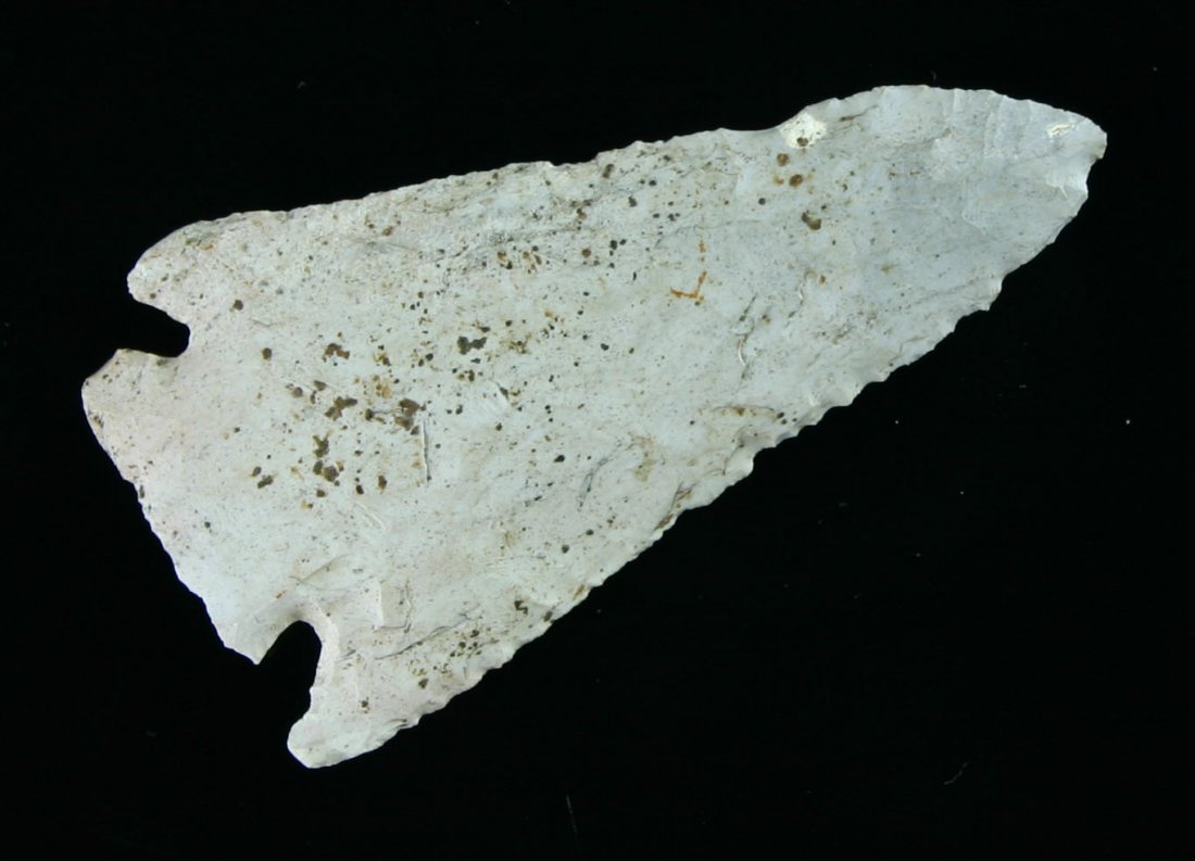 2 7/16" Archaic Corner Notch: Found by Karl Schug in Jefferson Co., Wisconsin. Cream/Gray Fossil Chert.
