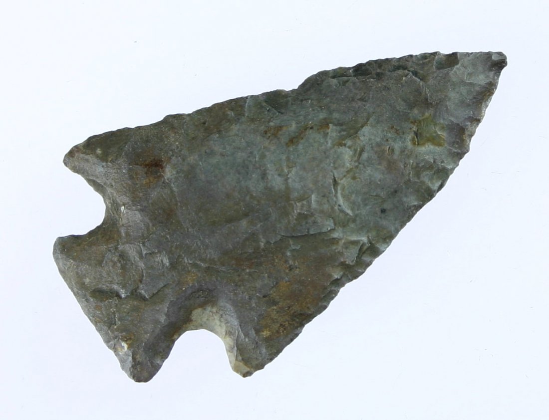 2 5/16" Archaic Corner Notch: Fossil Chert example from Kentucky.