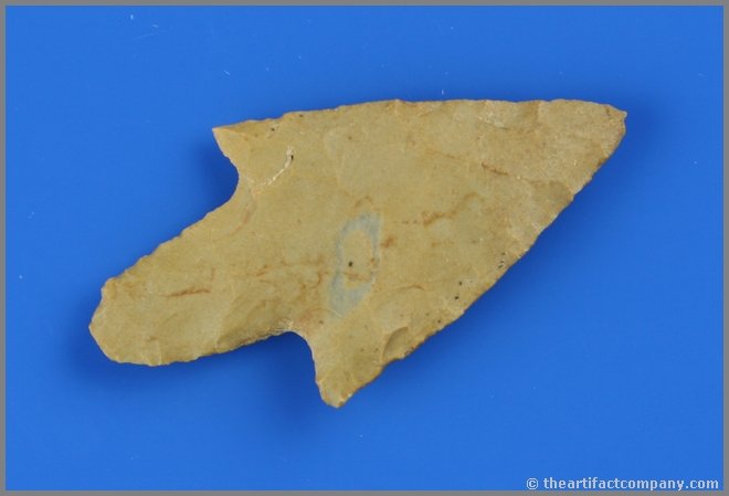 2 9/16" Adena Narrow Stem: Nice example found by David Farris on the Lambert Scott Farm along the Tennessee River in Livingston Co., Kentucky.