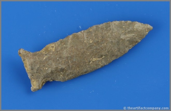 2 7/16" Dry Brook Fishtail Point - Perino COA: Fossil chert example from Pennsylvania. Ex - Noel Collection. Perino COA