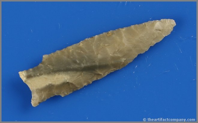 2 5/8" Darl - Williams COA: Nicely made point from Hays Co., Texas in a pretty banded gray flint featuring a Sam Williams COA.