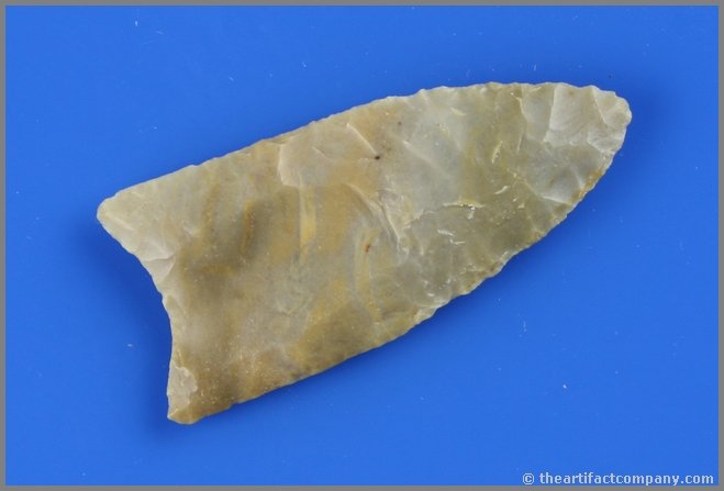 2 3/8" Carter Cave Redstone - Jackson G-10 COA: WOW!!! Translucent and beautiful 'Classic' Redstone from Bath Co., Kentucky. Extra thin. Superb flutes extending 50%+ on both sides. Literally every flake in place. This is your opportunity if you've 