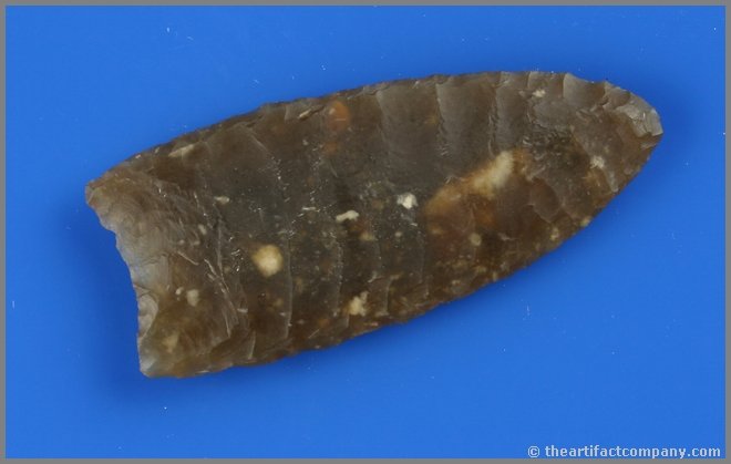 2 3/4" Knife River Goshen - Jackson G-10 COA: Classic highly translucent Knife River Flint with awesome parallel and transverse flaking. Mountrail Co., North Dakota. Ex- Peter Donavet. Blacklights 'orange'. Truly awesome. Jackson G-10 COA.