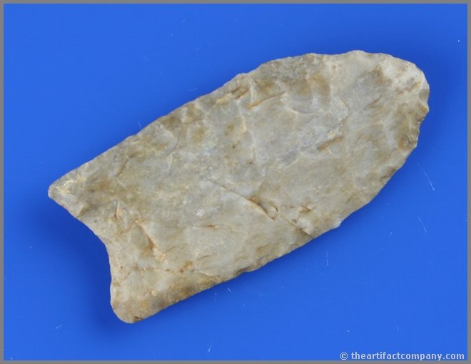 2 1/2" Clovis - Partain & Putty COA's.: Great craftsmanship. Great flutes. Very colorful high grade fossil chert. Great example to add to a quality Paleo collection. Ex- Floyd York Collection. Miami Co., Ohio. Partain & Putty COA's.