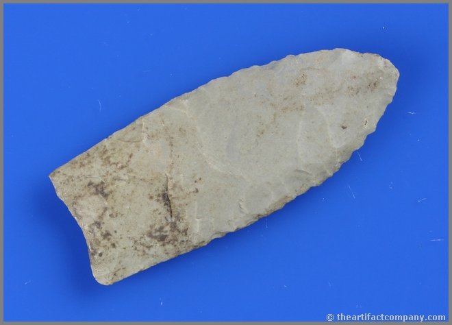 2 11/16" Clovis - Partain COA: Pretty light green fossil chert. Expertly crafted with nice flutes. Found near Lake Barkley in Trigg Co., Kentucky. Partain COA.