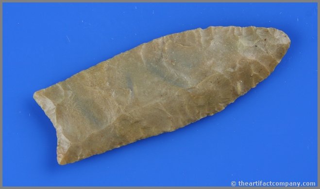 3 5/8" Carter Cave Clovis - Jackson G-10 COA: Superb example. They just don't get much better. Gorgeous multicolored Carter Cave Flint with great perimeter transucency and excellent flaking. Nice flute one side, slightly fluted other (already nic