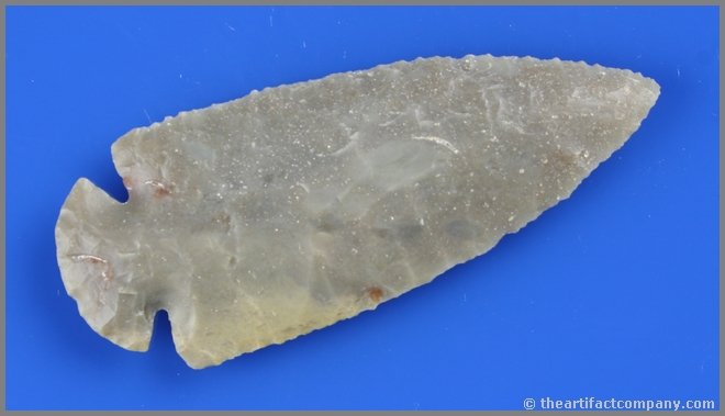 3 3/4" Dovetail - Jackson G-10 COA: Highly translucent Carter Cave with great translucency, perfect form, flaking, and symmetry. A true 'once in a lifetime' Dove. You'd still be jumping up and down in the field if you found it! Green Co