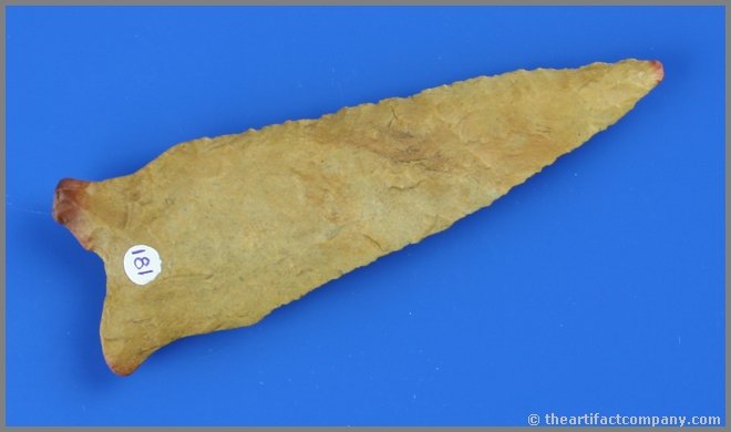 Outstanding 3 3/4" Dalton - Jackson COA: Very attractive orangish creek stained flint with red tip and red ears. Found in Graves Co., Kentucky. Ex- Terry Allen and Chuck Strubler Collections. Jackson COA.