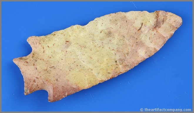 5 3/8" MASSIVE Savannah River: Beautiful blush and cream fossil chert example from Florida. Great mineralization remaining.