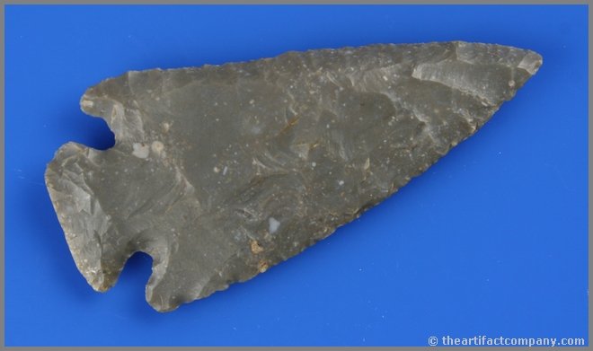 3 11/16" Dovetail - Jackson COA: Made of a dark gray high grade fossil chert with nice translucecny around the perimeter. Great form and craftsmanship. Classic MidWestern form. Jackson COA.