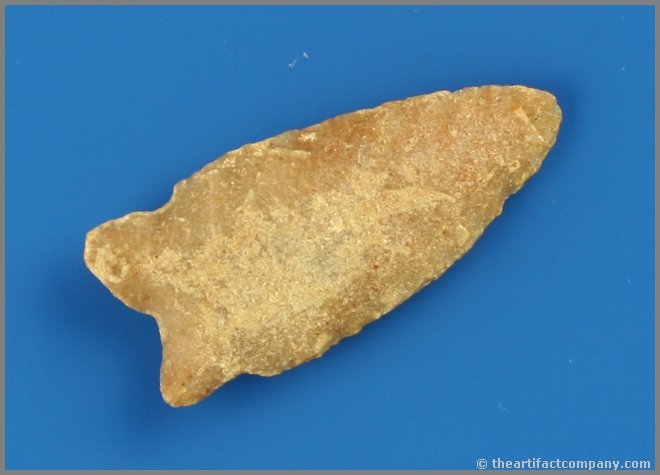 1 9/16" Duncan: Silicifed Sandstone example from Great Plains.