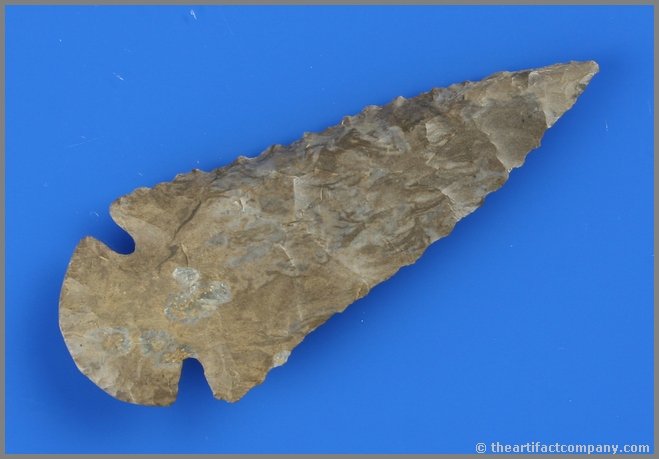 3 5/16" Dovetail - Jackson COA: Killer Dove made of classic well patinated Fort Payne chert. Expertly crafted with great serrations. Found in Tennessee. Ex- Davis Collection. Jackson COA.