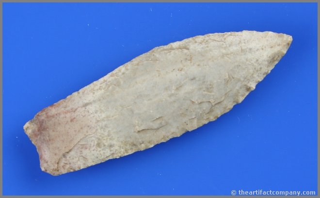 3 5/16" Agate Basin: Fossiliferous chert example Found by Theodore Kouba in Benton Co., Iowa between 1908-1915.