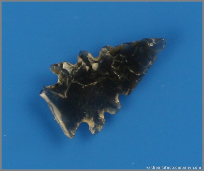 Exceptional Translucent Stockton: Measures 3/4th's of an inch. Completely translucent. Great notching. Glossy black Obsidian. Found between Galt and Modesto, California in the 1960's. Ex- Dennis Hammer Collection.