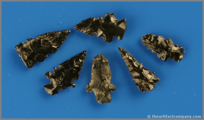 6 Obsidian Stockton Points: Classic shapes. Jet black glossy obsidian. Found between galt and Modesto, California in the 1960's. Biggest is 1 1/16". Ex- Dennis Hammer Collection.