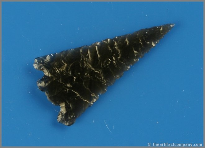 1 3/4" East Gate Split Stem: Wafer Thin obsidian example from Oregon. Translucent banded obsidian