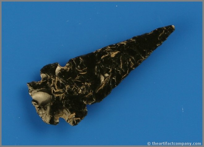 Large 1 9/16" Obsidian Stockton: Glossy black Obsidian with great notching and great size. Found between Galt and Modesto, California in the 1960's. Ex- Dennis Hammer Collection.