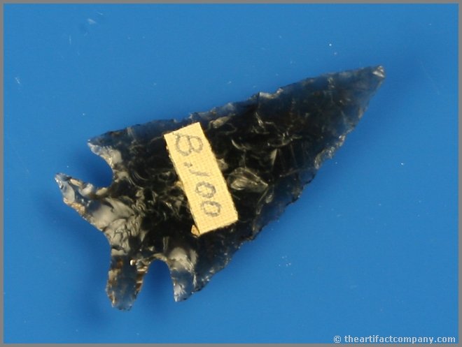 Outstanding 1 5/8" Obsidian Elko Eared: Completely translucent Obsidian with great symmetry and flaking. Found by Reg Seely and The Beaushane Family between 1940-1971 in Lake Co., Oregon.