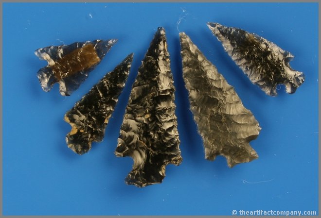 5 Excellent Large Obsidian Birdpoints: Most are translucent. Biggest is 1 3/4". Found by Reg Seely and The Beaushane Family between 1940-1971 in Lake Co., Oregon.