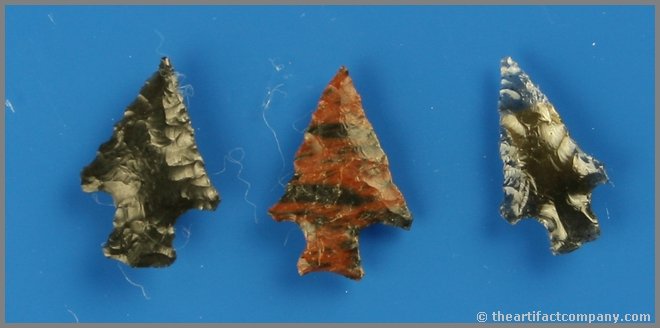 3 Exceptional Birdpoints: Translucent Obsidian, opaque Obsidian, and mahogany Obsidian. Biggest is 3/4". Found by Reg Seely and The Beaushane Family between 1940-1971 in Lake Co., Oregon.