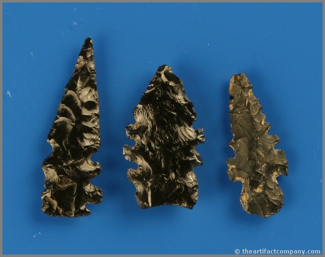 3 Obsidian Stockton Points: Great grouping with great notches. Biggest is 1 7/16". All glossy black Obsidian. Found between Galt and Modesto, California in the 1960's. Ex- Dennis Hammer Collection.
