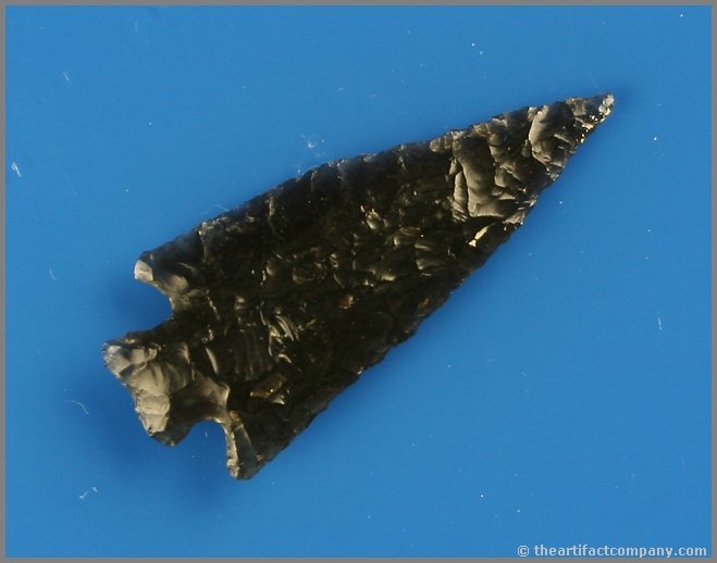 2 1/16" Obsidian Arrowhead: Exceptional quality. Great flaking. Highly translucent. Good size and symmetry. Found by Reg Seely and The Beaushane Family between 1940-1971 in Lake Co., Oregon.