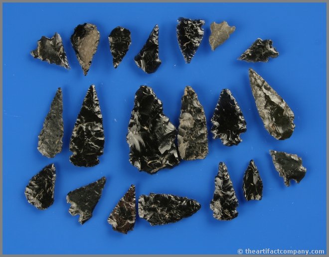 Collection of 20 California Obsidian Points: A couple are exceptionally fine. All glossy black Obsidian found between Galt and Modesto, California in the 1960's. Biggest is 1 1/2". Ex- Dennis Hammer Collection.