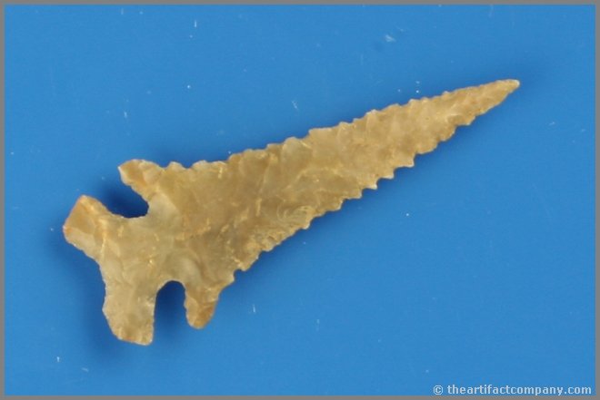 1 13/16" Edwards - Jackson G-10 COA: Edwards Plateau Chert perfection found in Central Texas. Needle tipped with fine serrations