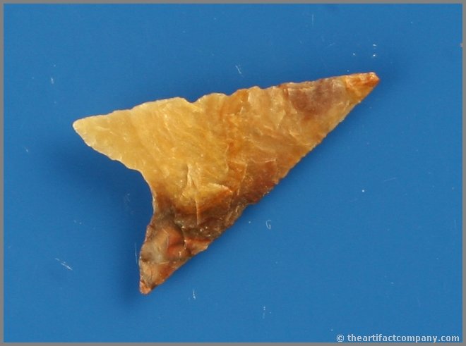 1 1/16" Garza: Multicolor chert example. Texas.