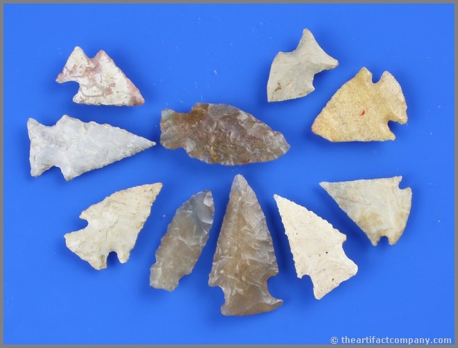 10 Nice TX/CO Birdpoints: Nice selection of agate, chert, and high grade flint points from Texas and Colorado.