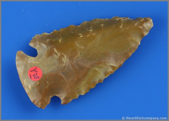 2 1/2" Dovetail - Jackson COA: Carter Cave example found in Fleming Co., Kentucky