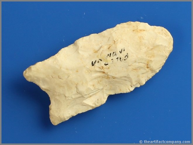 2" Clovis - Jackson COA: High grade cream colored chert. Found in Perry Co., Indiana. Nice flutes. Jackson COA.