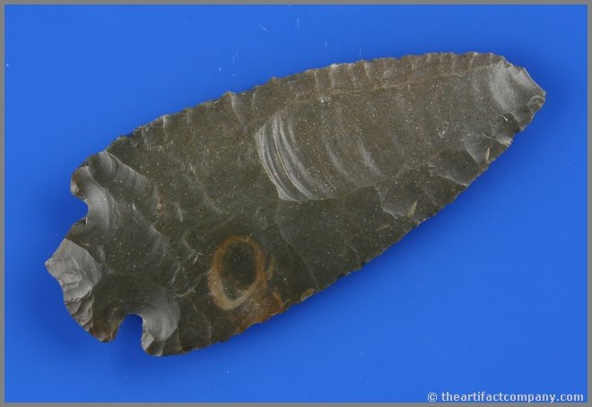 3 3/4" Dovetail: Sonora example that would be a great candidate for restoration. Found in Clark Co., Kentucky. Nice patina and serrations.