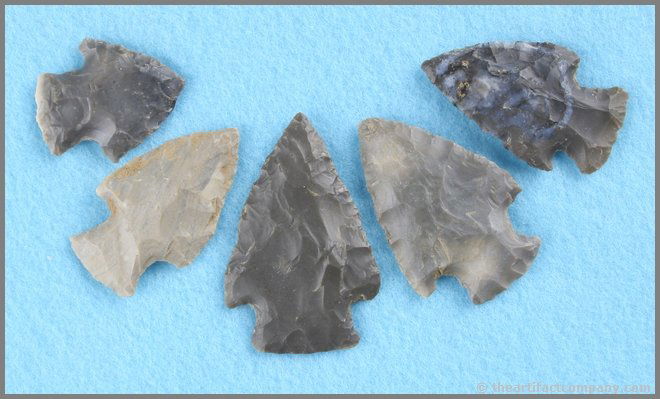 5 Tennessee Snyders Types: All Hornstone. All have great symmetry and form. Biggest is 2 3/8".