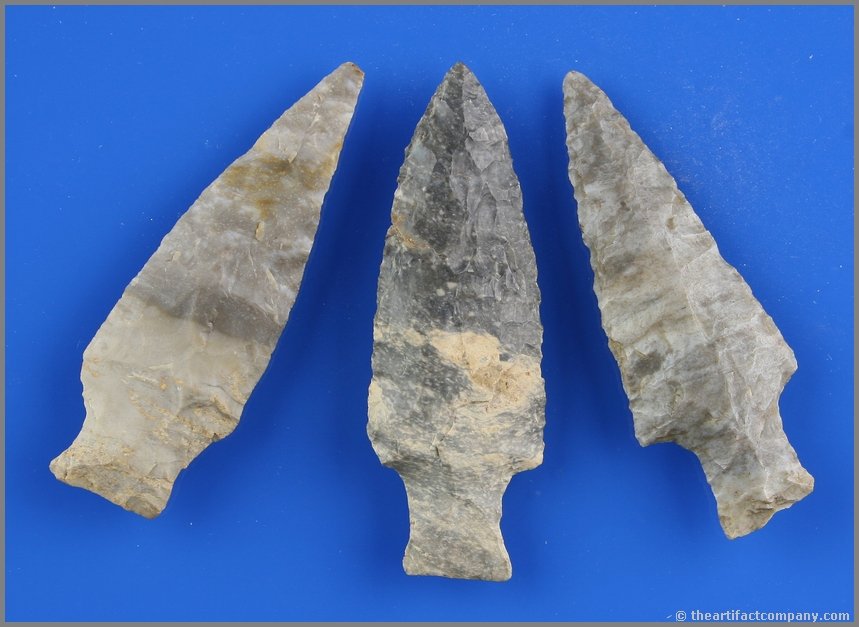 3 Nice Ashtabulas - 2