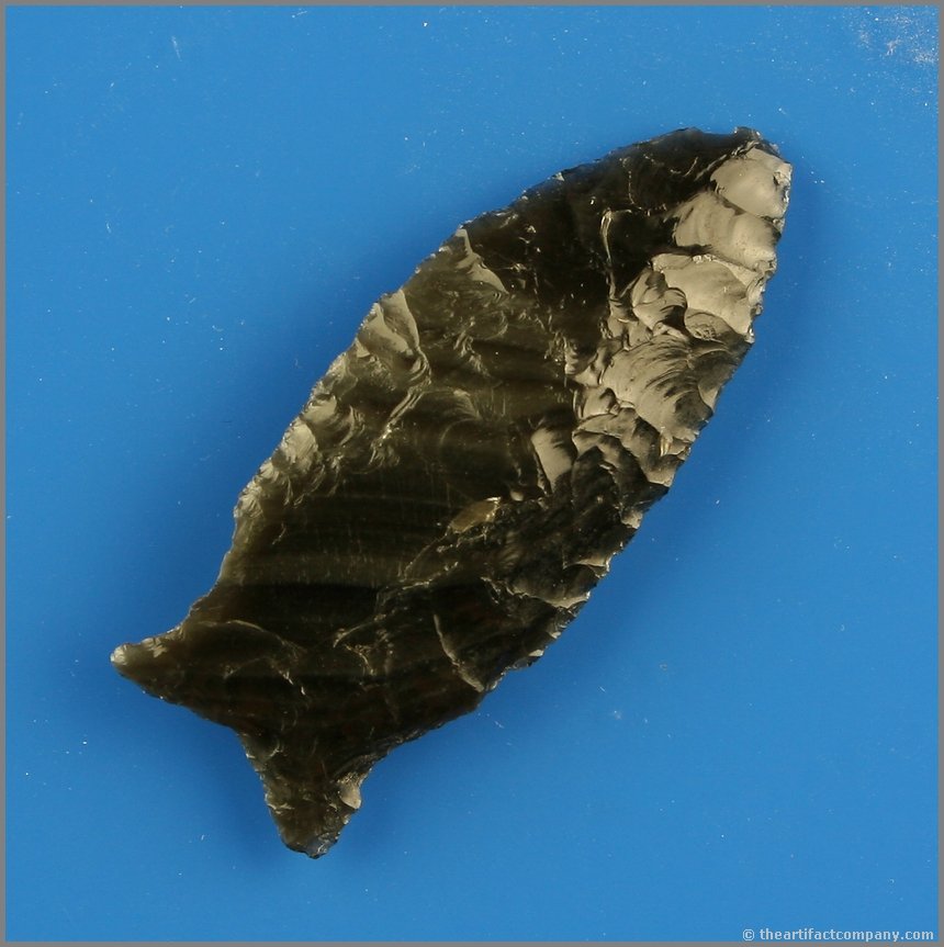 2 1/4" Buchanan Eared: Rare form. Nice size. Glossy Jet Black Obsidian. Found on the Bodle Family Ranch in Klamath Co., Oregon.