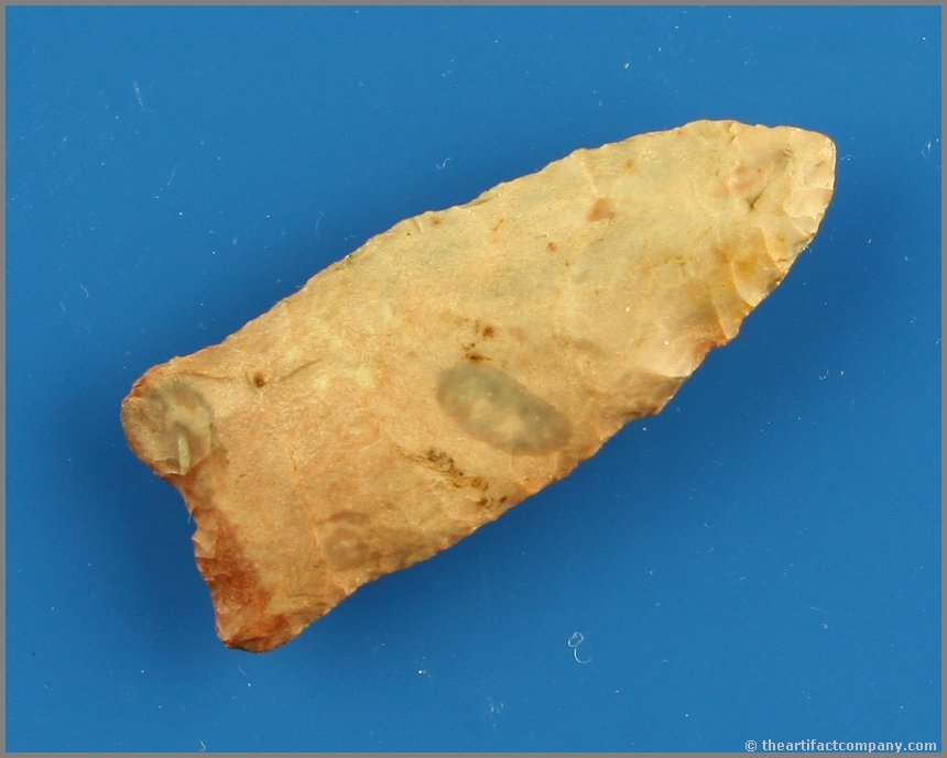 1 3/4" Paleo Dart: Pink fossil chert example found by Ernest Schug in Waukesha Co., Wisconsin.