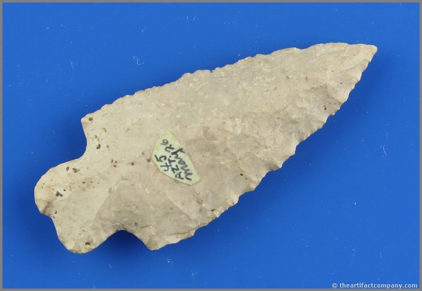 2 1/2" Heavy Duty: Nice fossil chert example found by Ernest Schug in Dodge Co., Wisconsin.