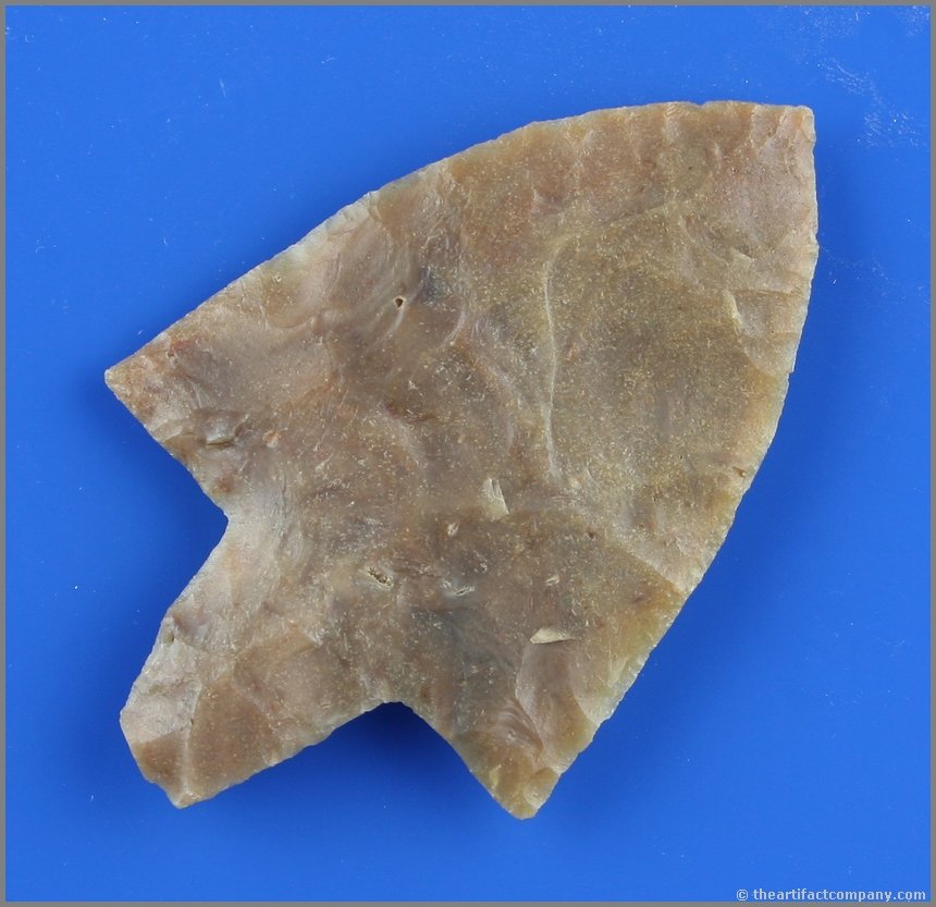 2 15/16" Newnan THIN!: Very well made G-9+ example with perfect wings and tip and finely flaked. Florida example in translucent Coastal Plains Chert.