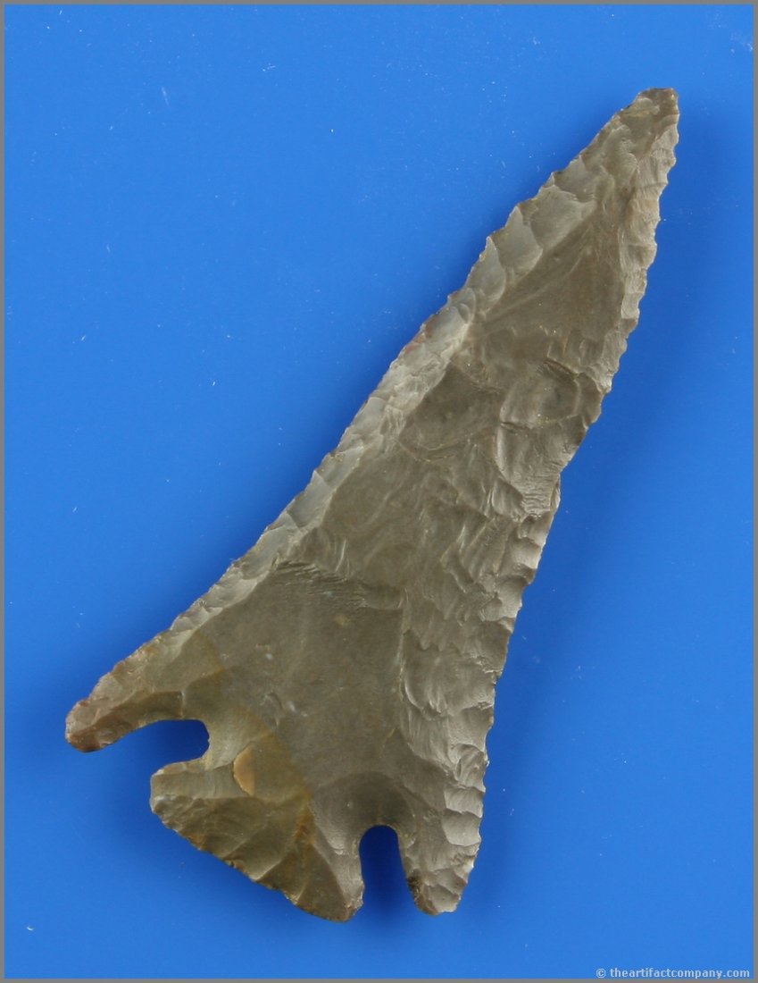 2 13/16" Lost Lake - Jackson COA: Pretty glossy Fort Payne chert example from Kentucky and formerly of the Milt Williams Collection. Jackson COA.