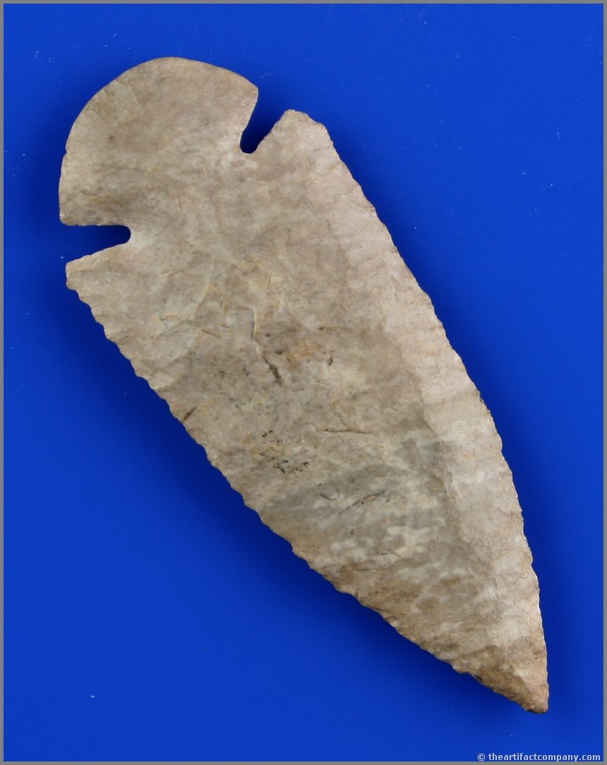 3 3/8" Dovetail - Davis G-9 COA: Extremely thin example from Kentucky in a pretty Fort Payne Chert with Davis G-9 COA. Super!