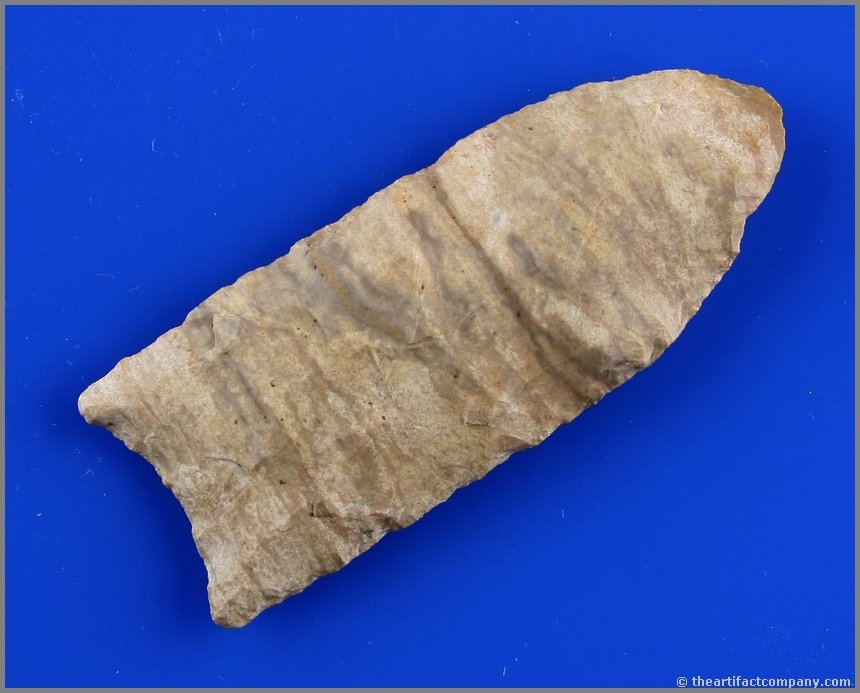 3 1/8' Clovis - Bennett, Partain, & Putty COA's: Found in Divide Co., North Dakota. Paleo Classic in extra pretty banded chert. Thin and nicely fluted. Ex- Peter Jenson Collection. Bennett, Putty, and Partain COA's. Putty says 'Petrified Wood'.