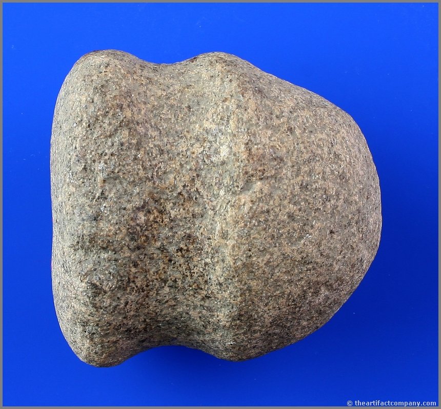 2 5/8" Full Grooved Maul/Club: Bit intentionally blunted and thought to have been used as a weapon. Hardstone. Ohio. Ex- Whalen.